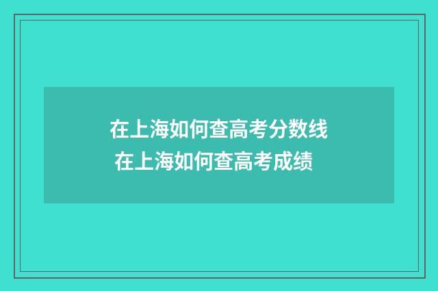 在上海如何查高考分数线 在上海如何查高考成绩