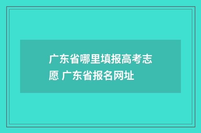 广东省哪里填报高考志愿 广东省报名网址