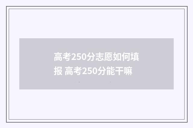 高考250分志愿如何填报 高考250分能干嘛