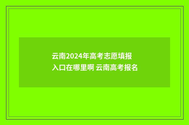云南2024年高考志愿填报入口在哪里啊 云南高考报名