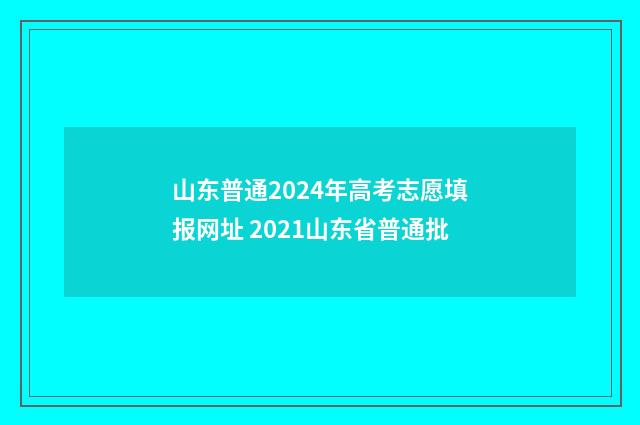山东普通2024年高考志愿填报网址 2021山东省普通批