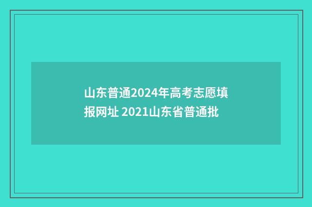 山东普通2024年高考志愿填报网址 2021山东省普通批