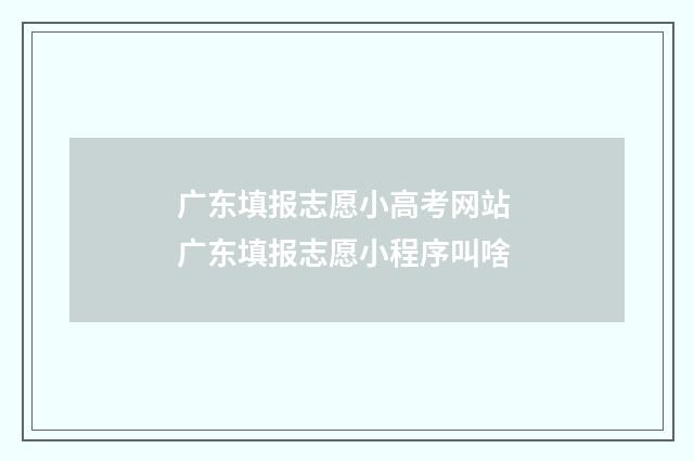 广东填报志愿小高考网站 广东填报志愿小程序叫啥
