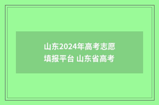 山东2024年高考志愿填报平台 山东省高考