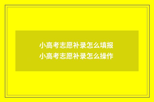 小高考志愿补录怎么填报 小高考志愿补录怎么操作