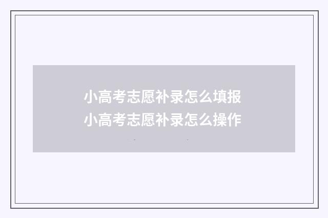 小高考志愿补录怎么填报 小高考志愿补录怎么操作