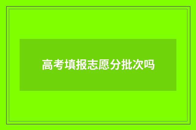 高考填报志愿分批次吗