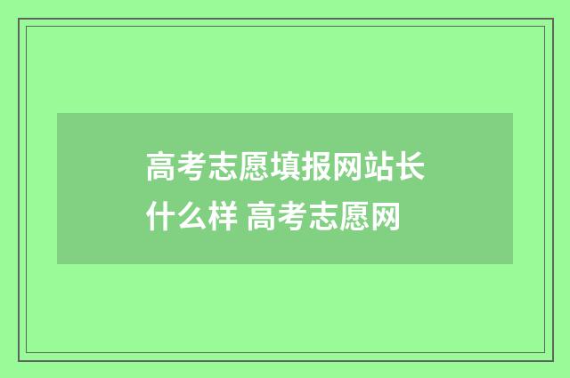 高考志愿填报网站长什么样 高考志愿网