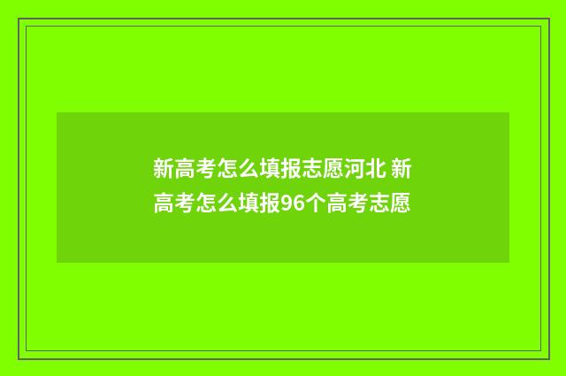 新高考怎么填报志愿河北 新高考怎么填报96个高考志愿