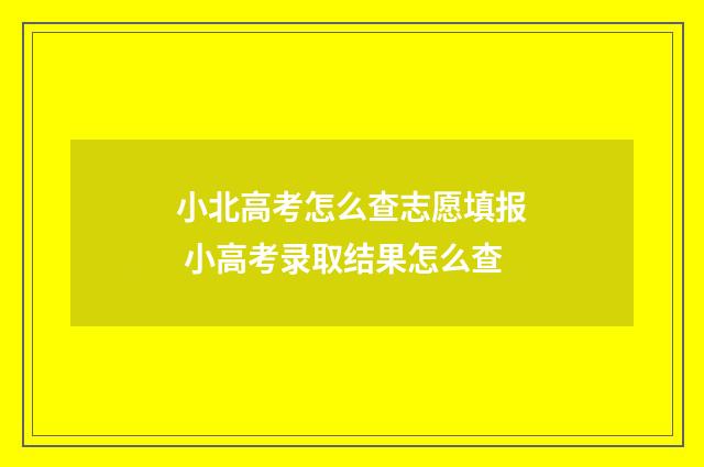 小北高考怎么查志愿填报 小高考录取结果怎么查