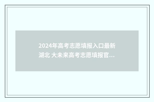 2024年高考志愿填报入口最新湖北 大未来高考志愿填报官网