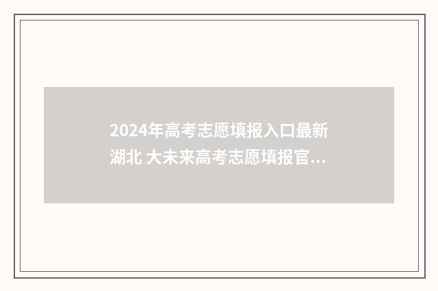 2024年高考志愿填报入口最新湖北 大未来高考志愿填报官网