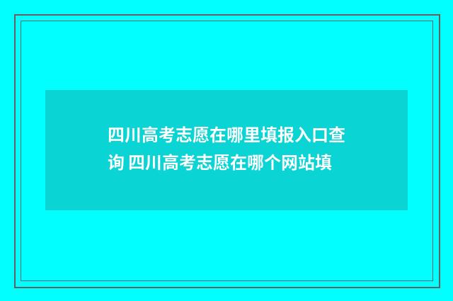四川高考志愿在哪里填报入口查询 四川高考志愿在哪个网站填
