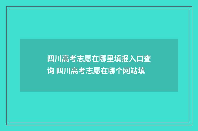 四川高考志愿在哪里填报入口查询 四川高考志愿在哪个网站填