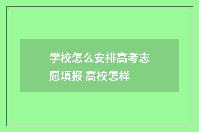学校怎么安排高考志愿填报 高校怎样