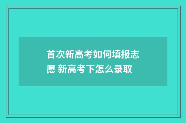 首次新高考如何填报志愿 新高考下怎么录取