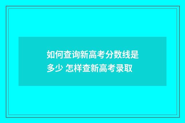 如何查询新高考分数线是多少 怎样查新高考录取