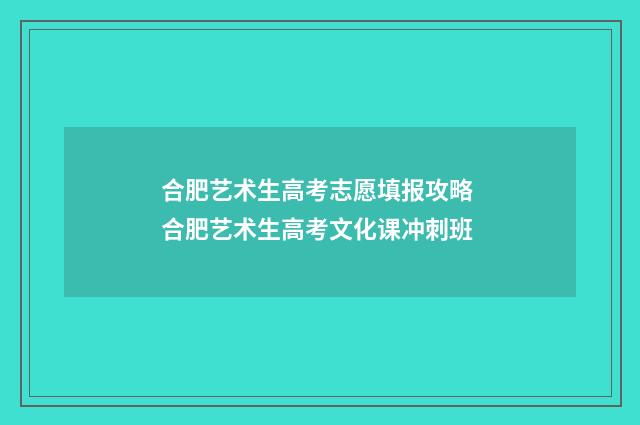 合肥艺术生高考志愿填报攻略 合肥艺术生高考文化课冲刺班