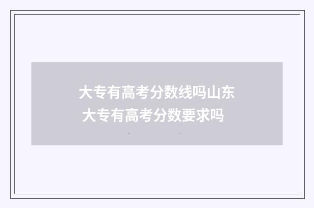 大专有高考分数线吗山东 大专有高考分数要求吗