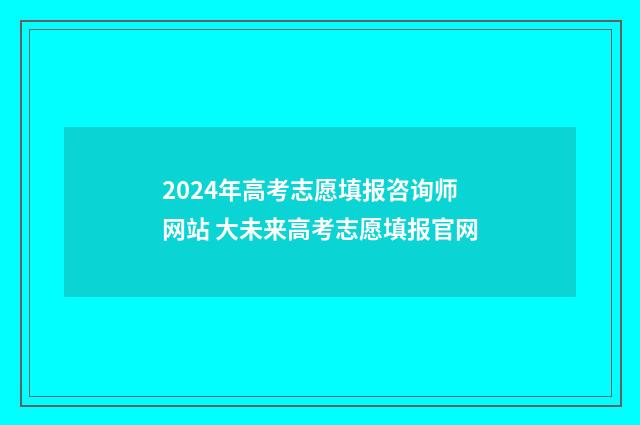 2024年高考志愿填报咨询师网站 大未来高考志愿填报官网