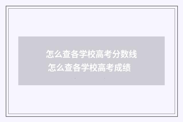怎么查各学校高考分数线 怎么查各学校高考成绩