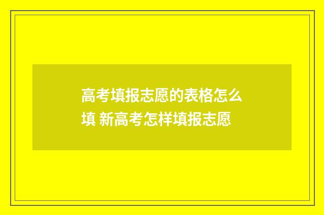 高考填报志愿的表格怎么填 新高考怎样填报志愿
