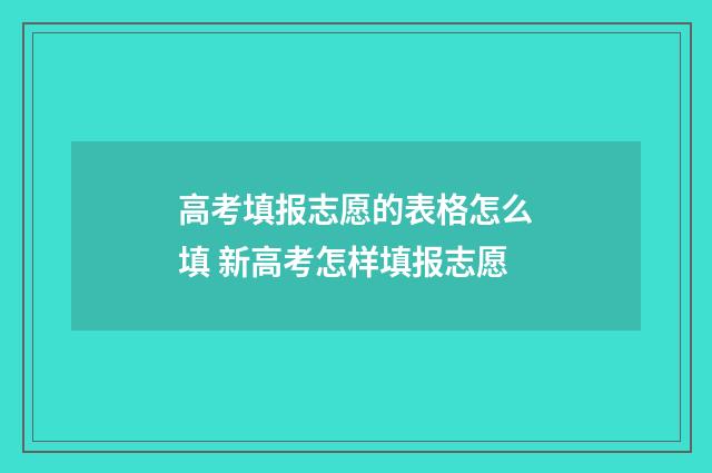高考填报志愿的表格怎么填 新高考怎样填报志愿