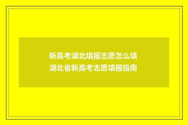 新高考湖北填报志愿怎么填 湖北省新高考志愿填报指南