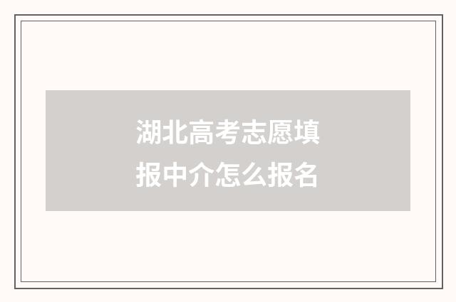 湖北高考志愿填报中介怎么报名