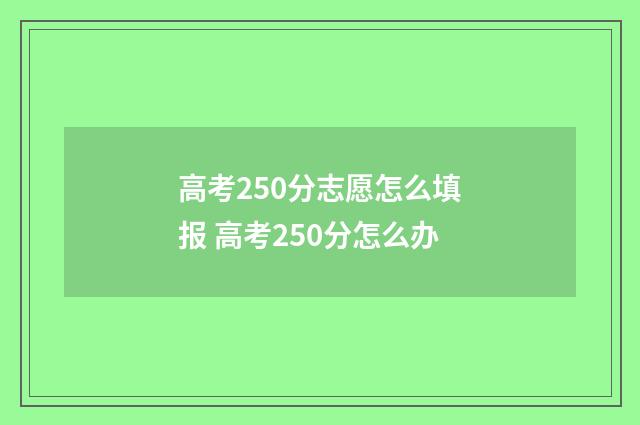 高考250分志愿怎么填报 高考250分怎么办