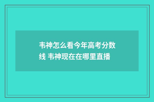 韦神怎么看今年高考分数线 韦神现在在哪里直播