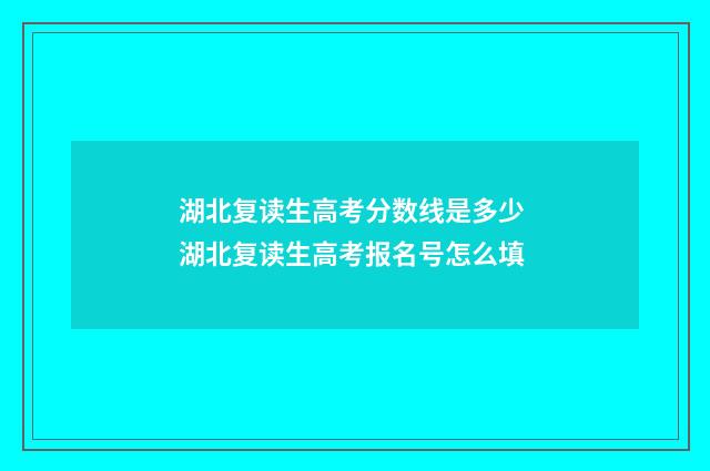 湖北复读生高考分数线是多少 湖北复读生高考报名号怎么填