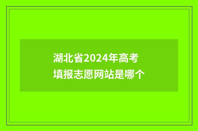 湖北省2024年高考填报志愿网站是哪个