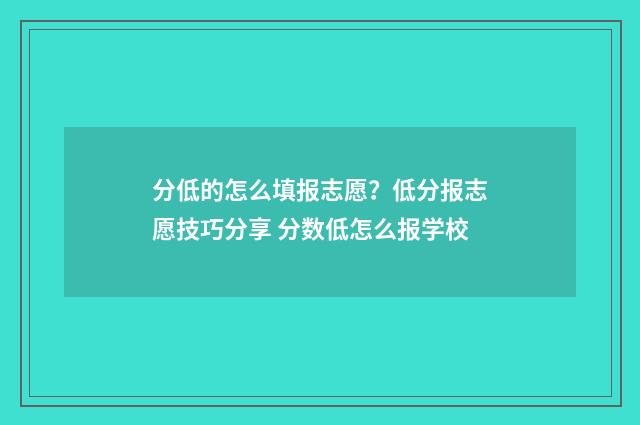 分低的怎么填报志愿？低分报志愿技巧分享 分数低怎么报学校