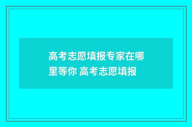 高考志愿填报专家在哪里等你 高考志愿填报