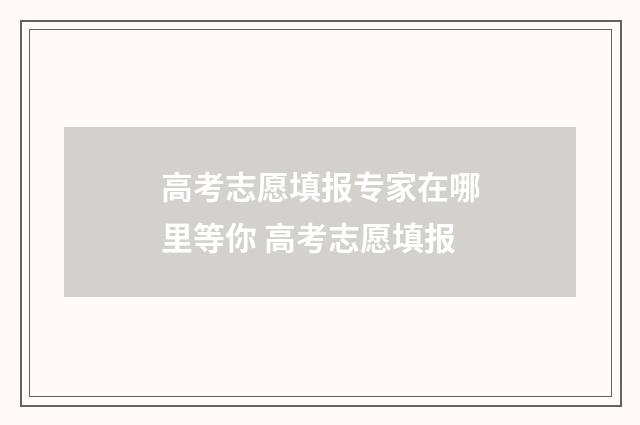 高考志愿填报专家在哪里等你 高考志愿填报