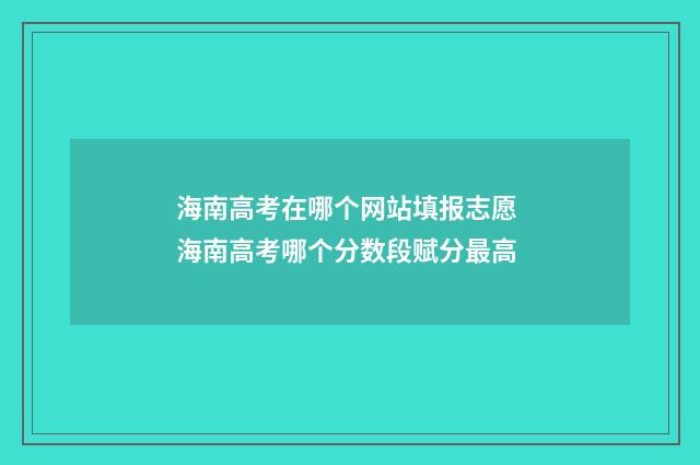 海南高考在哪个网站填报志愿 海南高考哪个分数段赋分最高