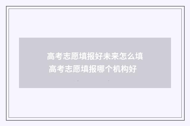 高考志愿填报好未来怎么填 高考志愿填报哪个机构好