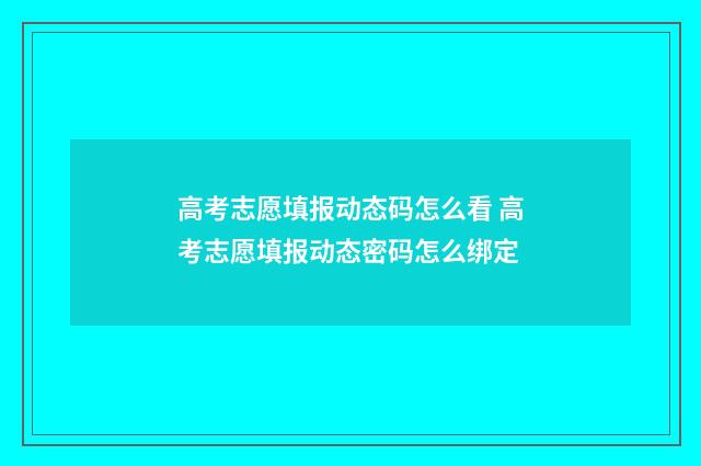 高考志愿填报动态码怎么看 高考志愿填报动态密码怎么绑定