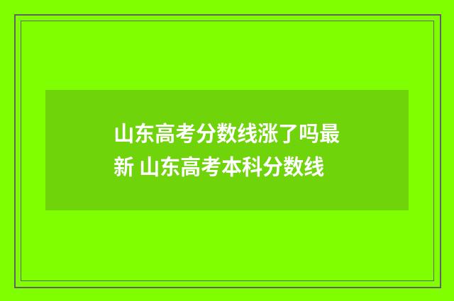 山东高考分数线涨了吗最新 山东高考本科分数线