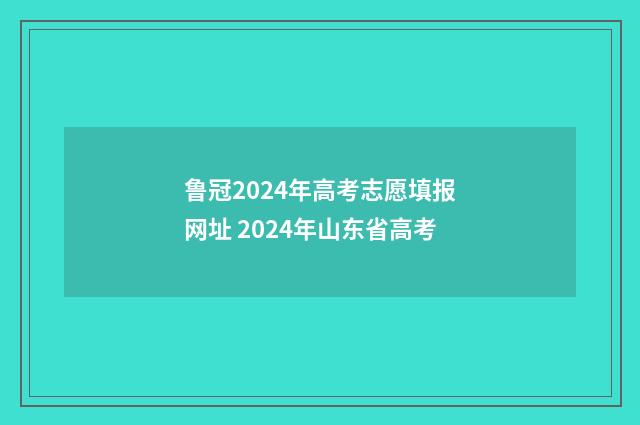 鲁冠2024年高考志愿填报网址 2024年山东省高考