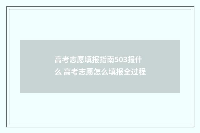 高考志愿填报指南503报什么 高考志愿怎么填报全过程