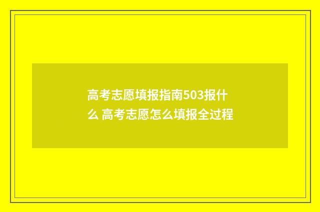 高考志愿填报指南503报什么 高考志愿怎么填报全过程