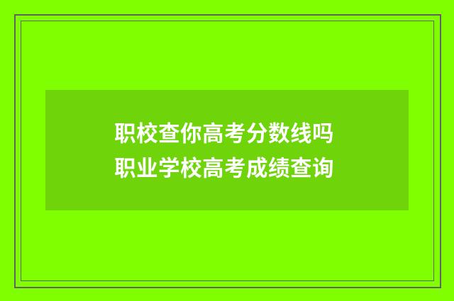 职校查你高考分数线吗 职业学校高考成绩查询