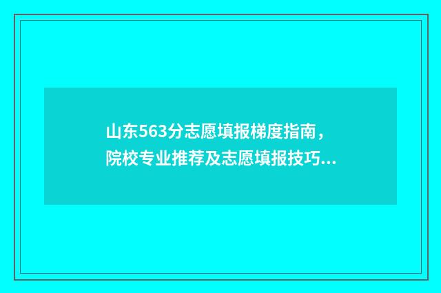 山东563分志愿填报梯度指南，院校专业推荐及志愿填报技巧 山东考生536分报哪个学校