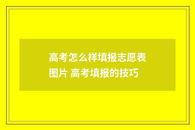 高考怎么样填报志愿表图片 高考填报的技巧
