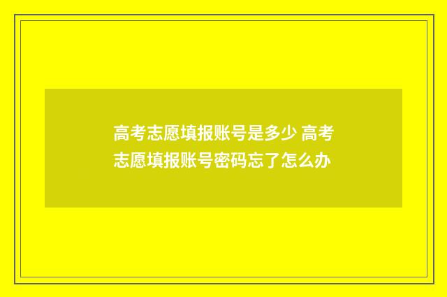 高考志愿填报账号是多少 高考志愿填报账号密码忘了怎么办