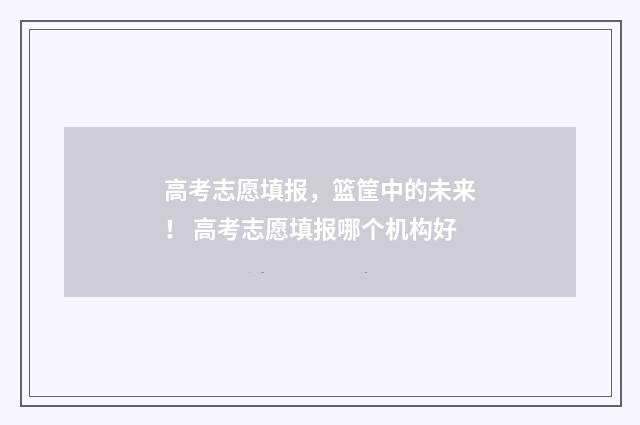 高考志愿填报，篮筐中的未来！ 高考志愿填报哪个机构好