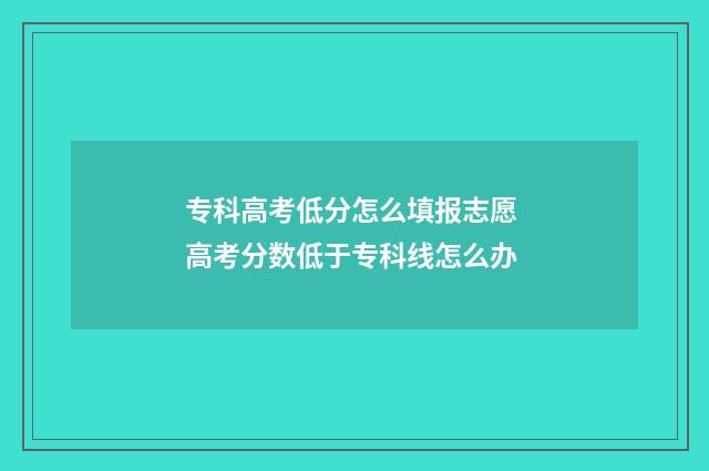 专科高考低分怎么填报志愿 高考分数低于专科线怎么办