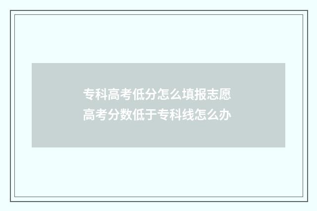 专科高考低分怎么填报志愿 高考分数低于专科线怎么办